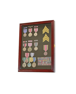Collector Medal/Lapel Pin Display Case Holder Cabinet Shadow