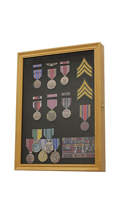 Collector Medal/Lapel Pin Display Case Holder Cabinet Shadow